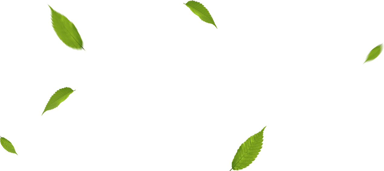 (HỘ KINH DOANH) MỸ PHẨM THUÝ LÊ